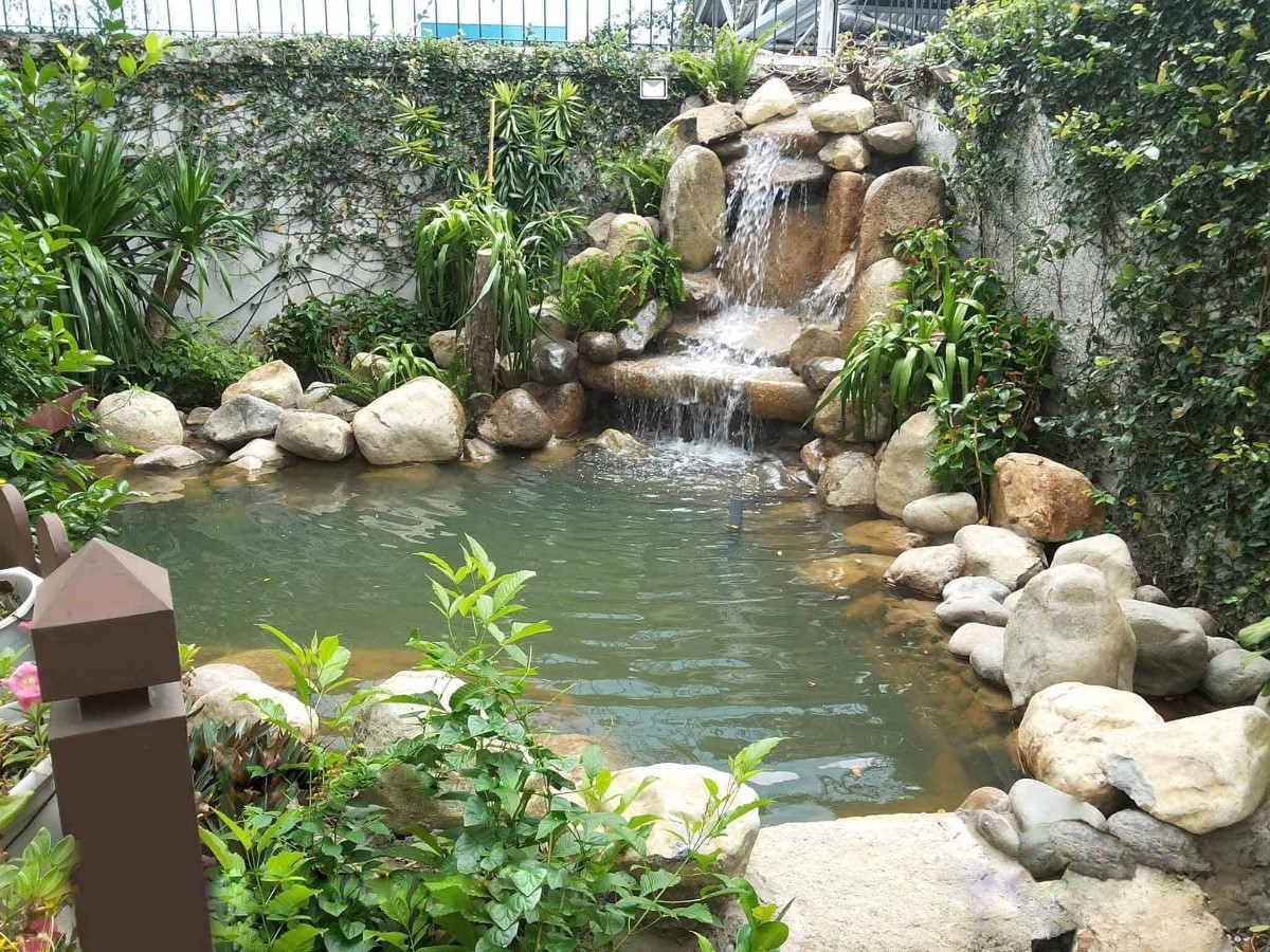 Một số loại tiểu cảnh thác nước đẹp cho sân vườn của bạn