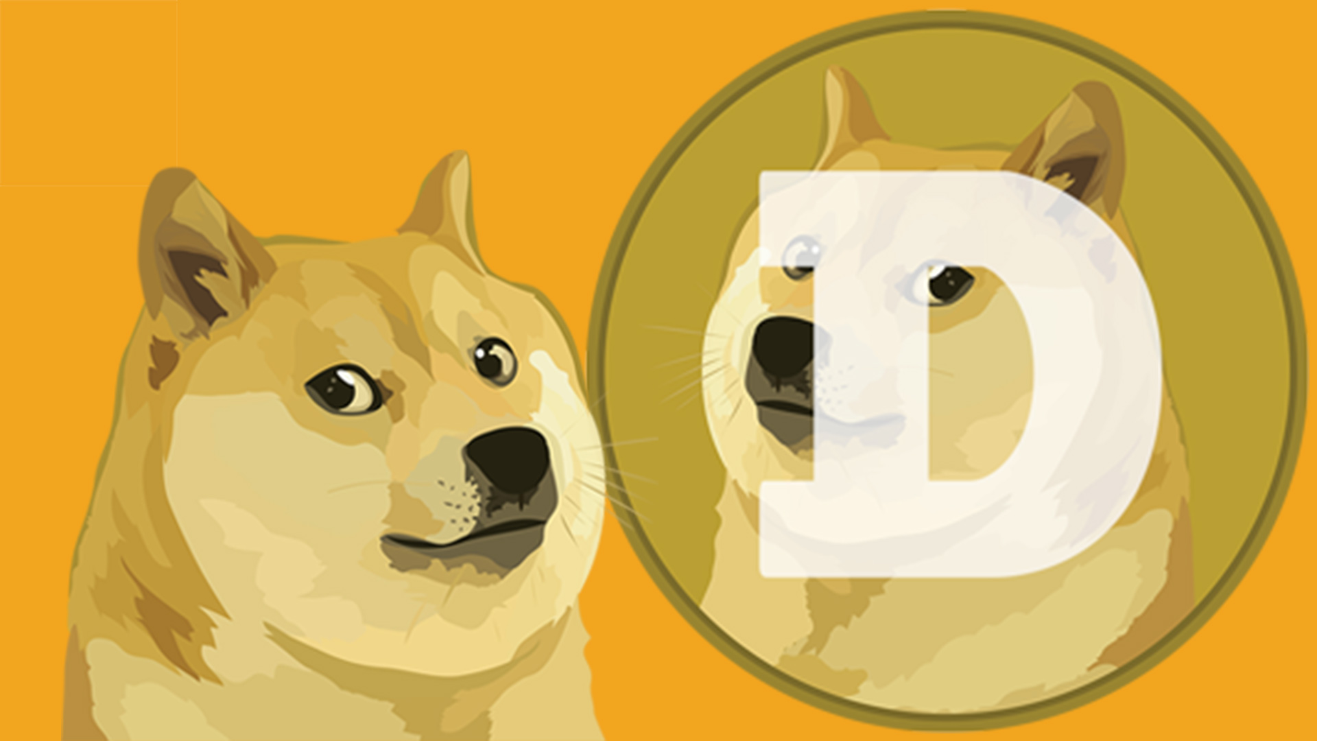 Đầu tư Dogecoin (DOGE)