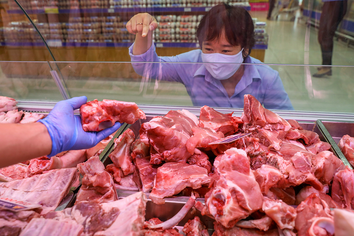 Giá thịt lợn hơi tiếp tục giảm do ảnh hưởng bởi dịch bệnh Covid